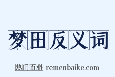 梦田反义词是什么意思的图片